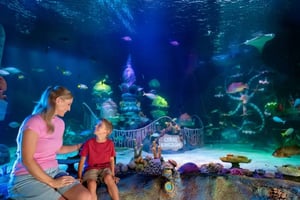 SEALIFE FLORIDA AT LEGOLAND®