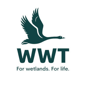 WWT
