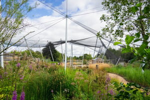 immersive walkthrough wetland aviary